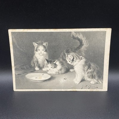 Drei Kätzchen Schale ''Hullo What's This'' Postkarte 1908 Stempel s/w verschickt Vintage