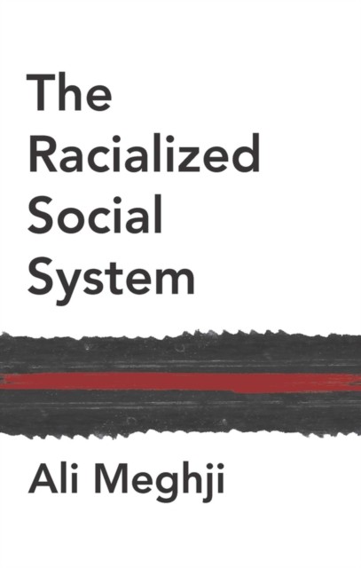 The Racialized Social System by Ali Meghji - - Image 3