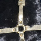 Picture 3 of 15