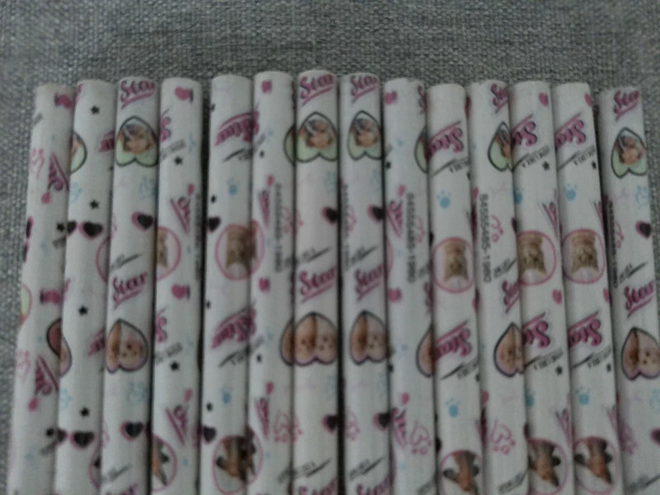 NUEVO 15 lápices de papel mágico Rachel Hale brilla como una estrella gato perro corazón desenfocar Foto 2 de 4