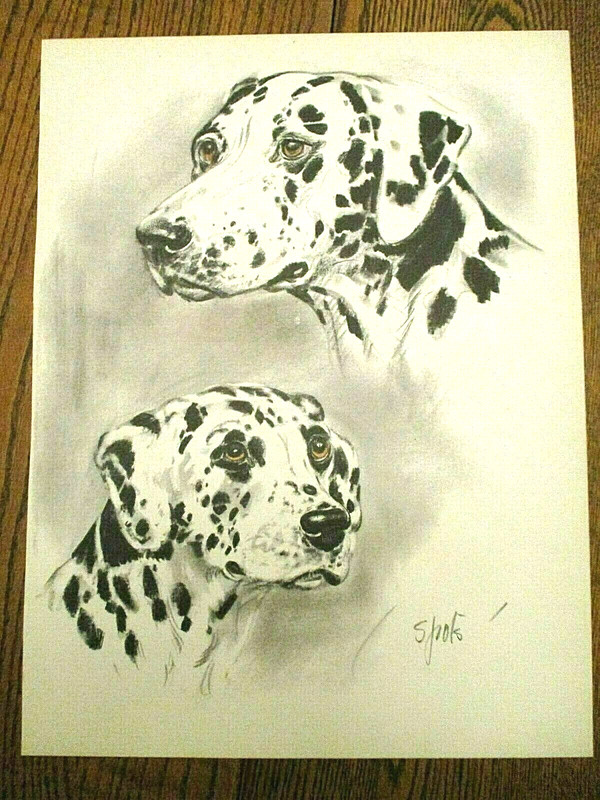 BEAUTIFUL original 1944 large DALMATIAN dog portrait-Diana Thorne-framable