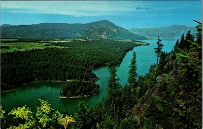 Vintage Postcard Viewpoint on Nature Trail, Farragut State Park, Sandpoint Idaho