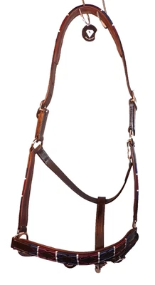 Polo Lederhalfter braunes Leder bordeaux blau weiß bestickt unterlegt WB - Bild 1 von 4