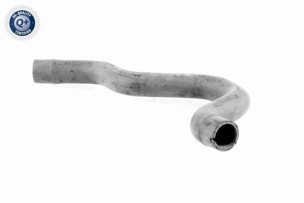 KÜHlerschlauch Oben Vaico V24 1275 Passend FÜR Fiat Lancia-image