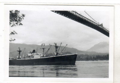 PACIFIC IMPORTER (1947) - Furness Withy & Co (was SAM TREDY 1943)