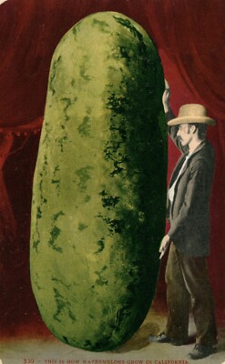 EXAGGERATED CALIFORNIA WATERMELON ANTIQUE POSTCARD | eBay