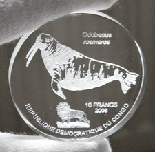 KONGO: 10 Francs 2006 "WALROSS", Glasmünze, (ZZ)