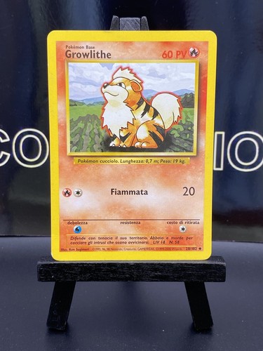 Pokemon Card Growlithe (Italian) BASE SET 28/102 - LP Condition - Picture 2 of 6