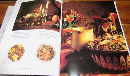 La habitación perfumada ~ Barbara M. Ohrbach. Flores secas, Fra HbDj SIN leer en MELB - Imagen 15 de 23