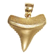 New 14k Yellow Gold Shark Tooth Pendant