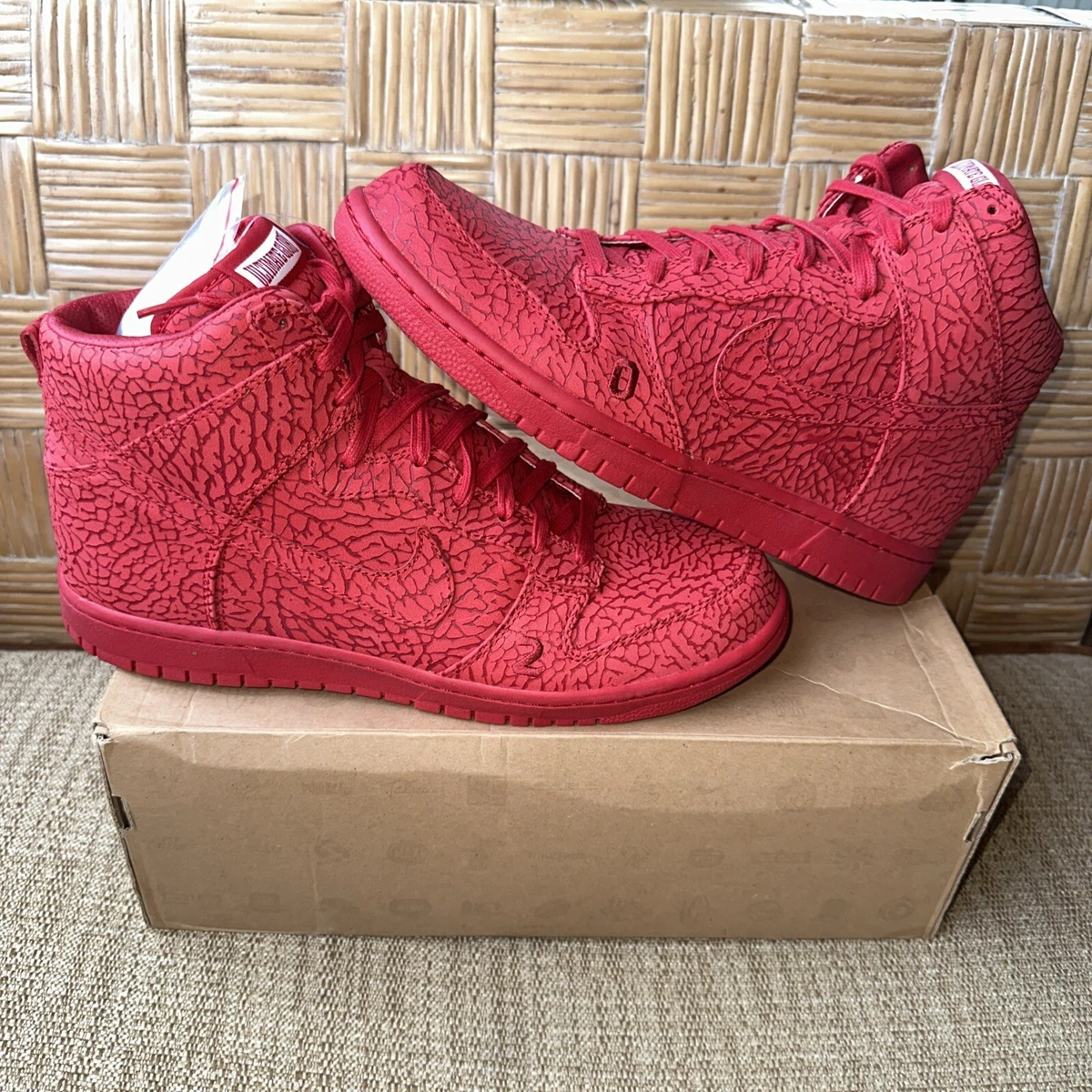 Nike Dunk Premium High Ultimate Glory for Sale | Authenticity
