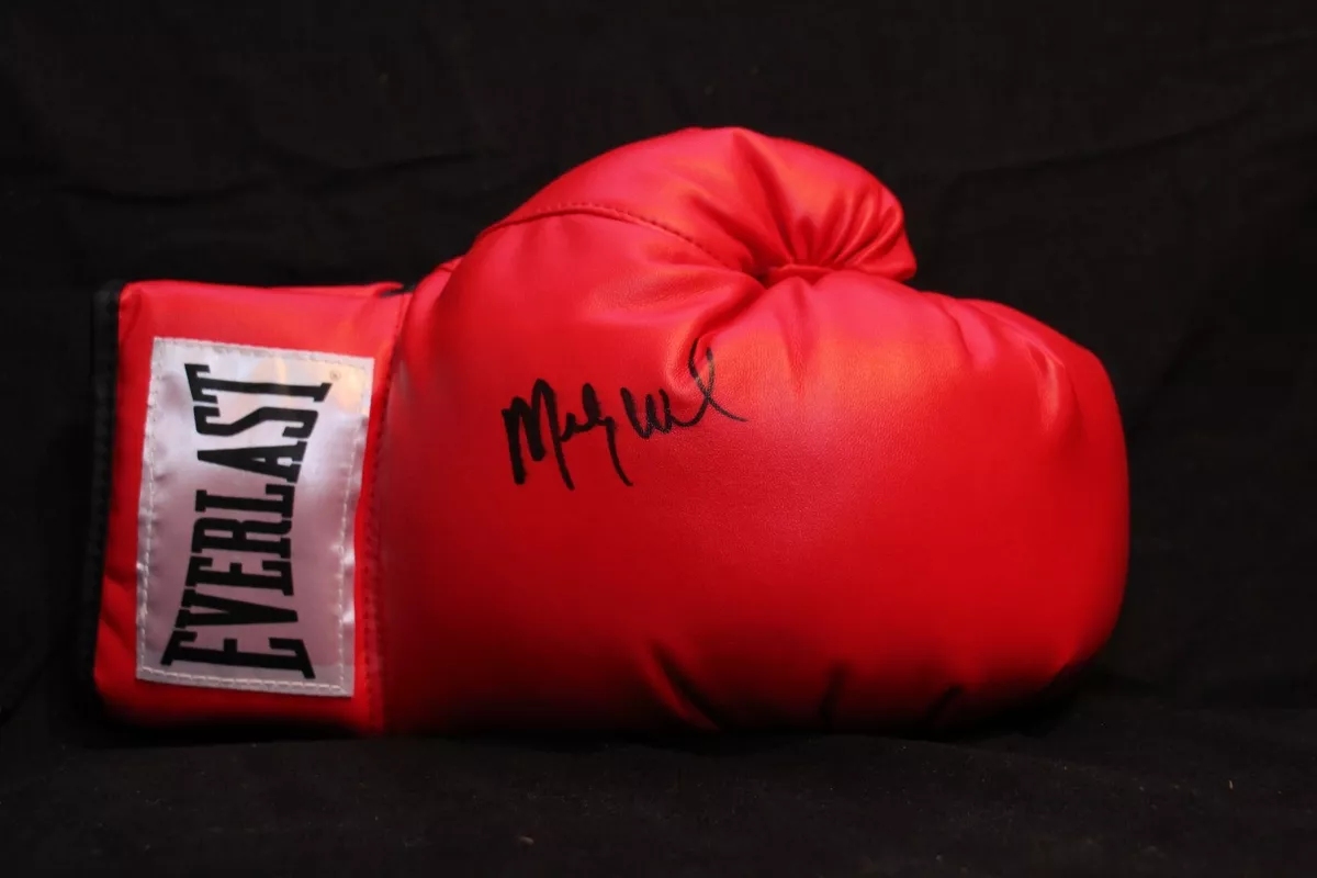 Everlast fighter boxing deals gloves