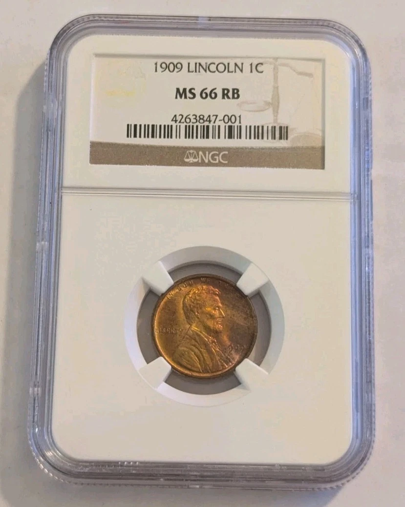 MS 66 Graded 1909 Year Lincoln Wheat US Small Cents (1909-1958