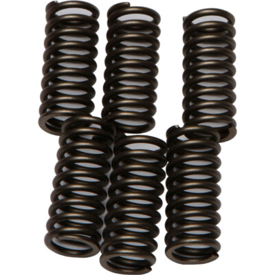 EBC  Clutch Springs Csk102 Yamaha Yzf600r 1995-2007  CSK102  fitment in desc