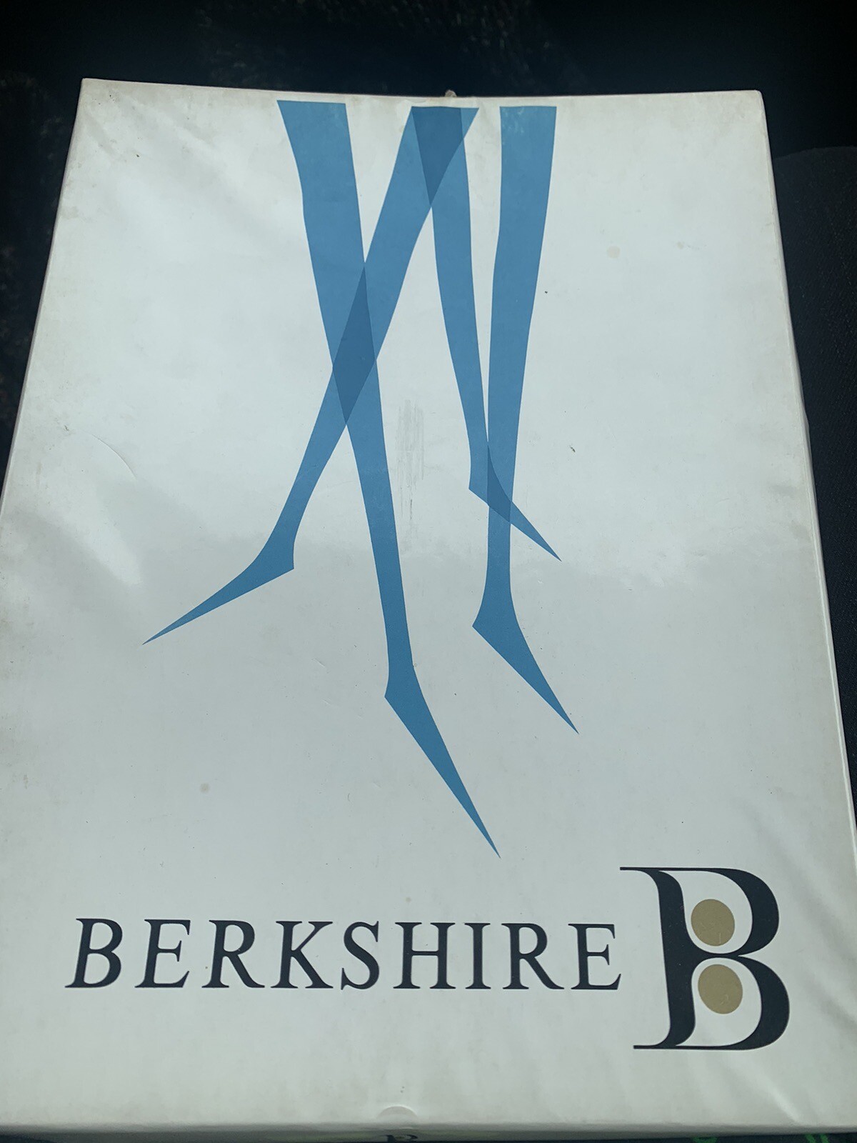 Vintage Berkshire Hosiery (4) In Box - image 1