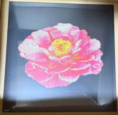 Post Malone Tribute to Nirvana Yellow LP Vinyl RSD 2025 Record