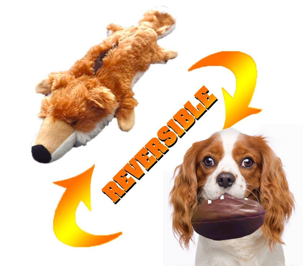For Dogs