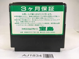 AJ1834 The Astyanax Lord of King NES Famicom Japan