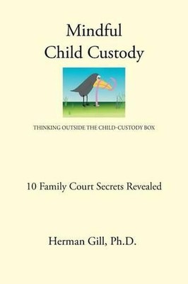 Mindful Child Custody: Thinking Outside the Child Custody Box 10 Family Court Se