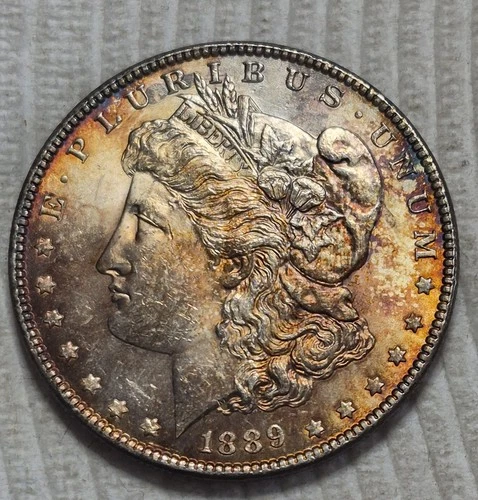 1889 P Morgan Silver Dollar. Estimated Uncirculated Mint State 62 TONER!! M0126.