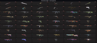 Champions 2023 Vandal, champions 2022 phantom VCT lock in knife 140+ skins FA OG