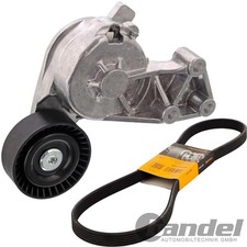 CONTI KEILRIPPENRIEMEN + RIEMENSPANNER passend für AUDI A3 TT VW GOLF 4