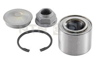 SNR R155.113 Radlagersatz FüR Dacia, Fiat, Isuzu, Renault