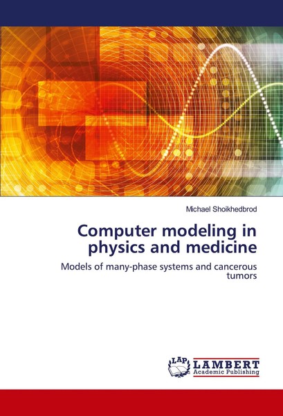 Michael Shoikhedbrod | Computer Modeling In Physics And Medicine | Taschenbuch-image