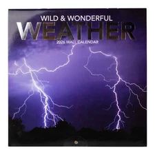 Turner Licensing,  Wild & Wonderful Weather 2026 Mini Wall Calendar, 7'' X 7'',