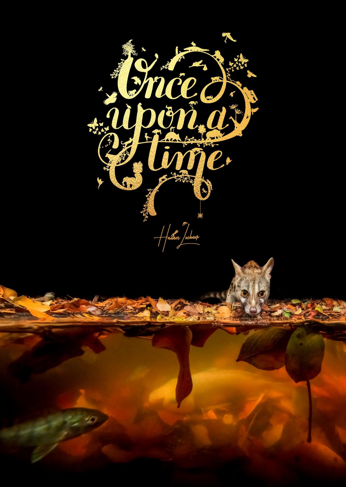 Once Upon a Time by Hannes Lochner HARDBACK - Image 4