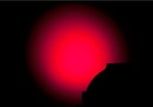 Bild 8 von 12