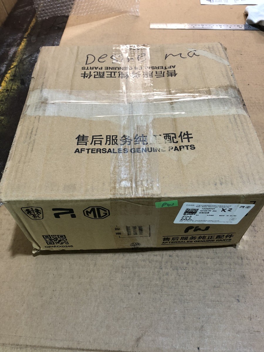 Genuine MG ZS 2017- Rear Brake Discs 10266049 | eBay