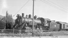 Nevada Northern Railway  #81  No Data.  (04)