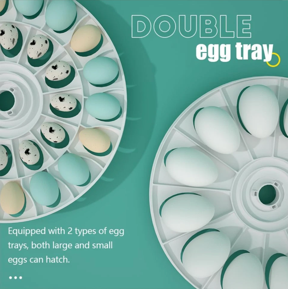 Incubadoras MeeF para incubar huevos incubadora automática de 30 huevos con tur Foto 2 de 4