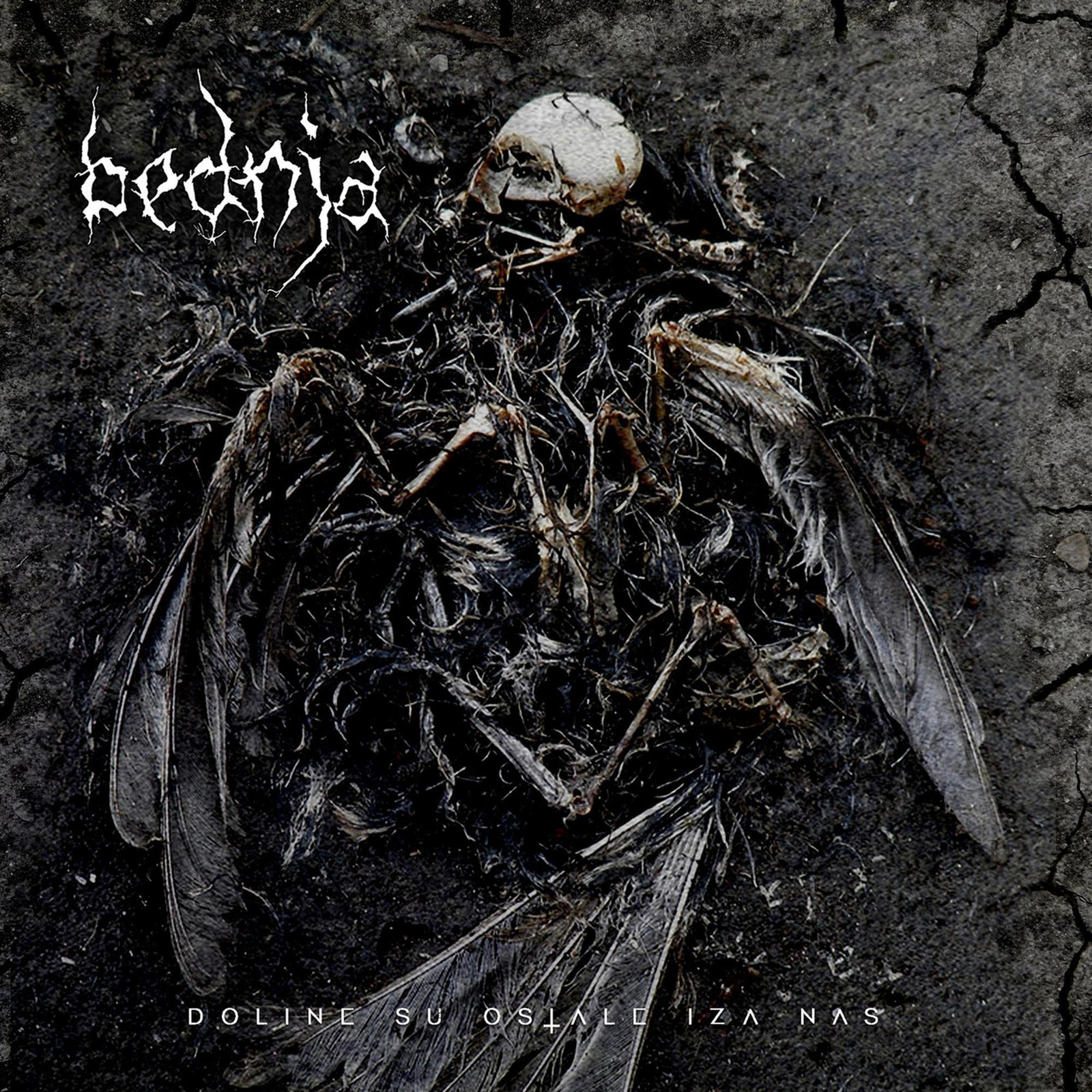 Bednja Doline Su Ostale Iza Nas (CD)