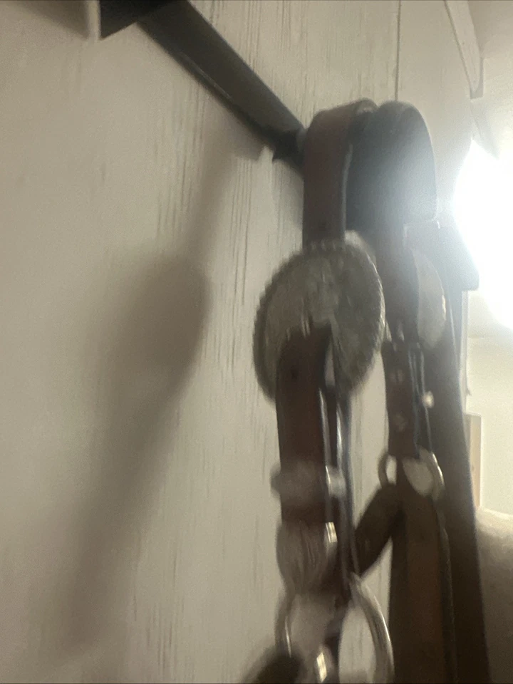 Halter Dale Chavez Silver Show con plomo talla 2 años Foto 2 de 4