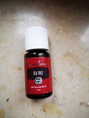 Young Living Tea Tree  Ätherisches Öl 15 ml