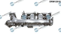 Dr.Motor Automotive DRM12818 Saugrohrmodul FüR MERCEDES-BENZ