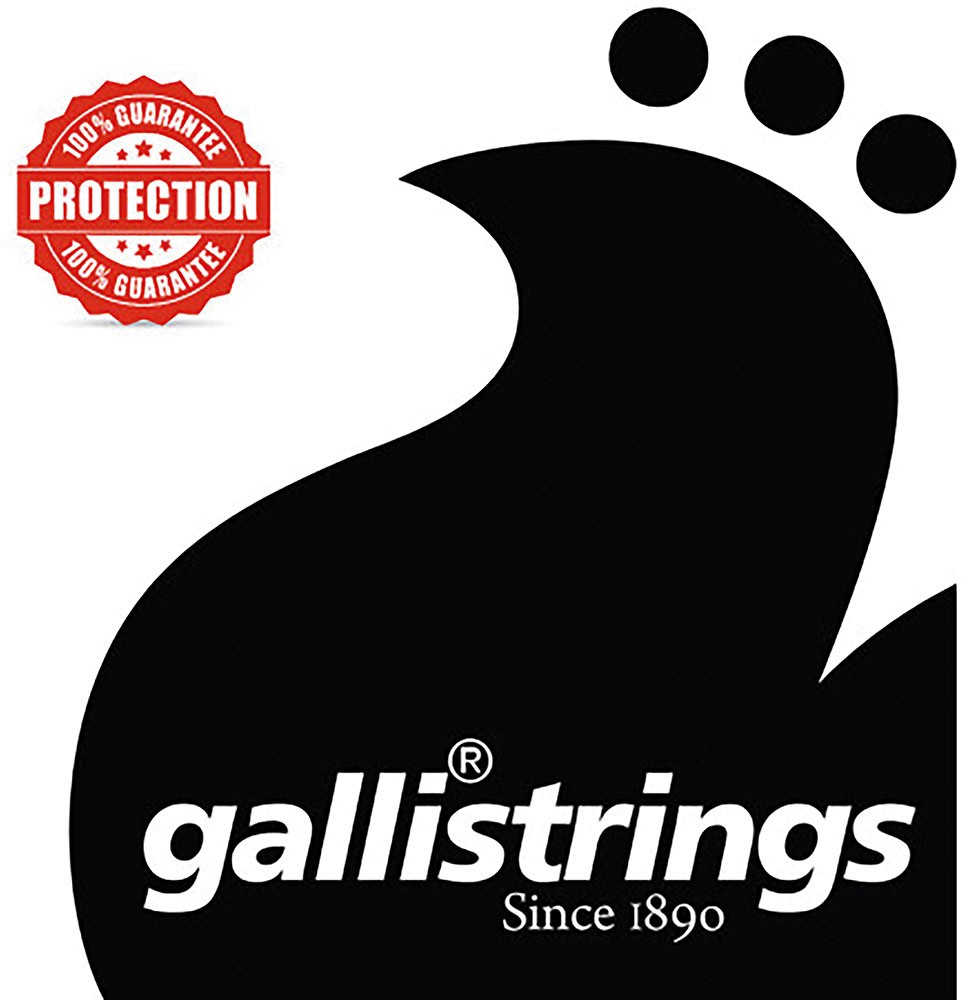 Nickel Wound Loop Ended .028 String, Galli NW028, Strings at Hobgoblin Music