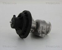 AGR Ventil Triscan 8813 29034 FüR VW Seat Skoda Polo 3 6N1 6N2 Caddy 2 9K9A 6V2