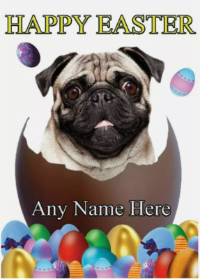 Personalisierte Ostern-Grußkarte Mops im Ei Mama Papa Nan Freundin Schwester RefSe1