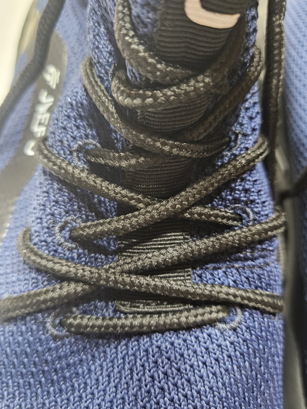 Picture 5 of 14