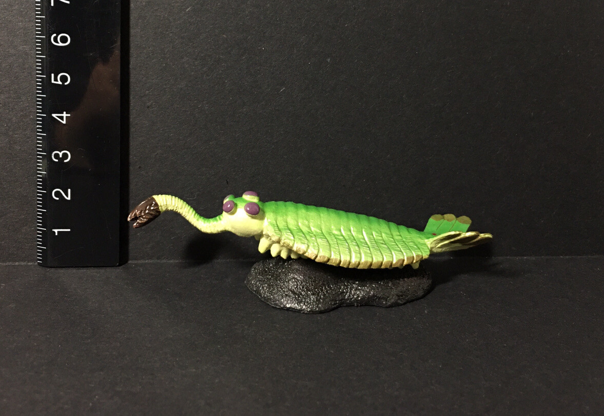 Japan Exclusive Favorite Burgess Series Opabinia Soft Model GREEN