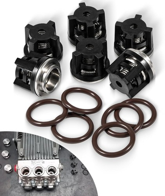 #ad AR1828 Check Valve Kit for Annovi Reverberi RKA RKV XRC XRA Models 18mm w O Ring $28.50