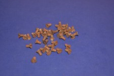 44 boulon à vis vintage 8-32 x 5/16" tête plate fendue pour machine acier 5/16" tête