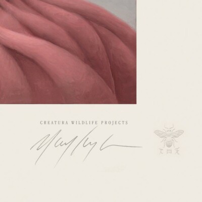 Mark Ryden - Yuki the Young Yak ED500 Lithograph Print Signed