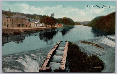 Fermoy Co Cork Der Lachssprung Postkarte