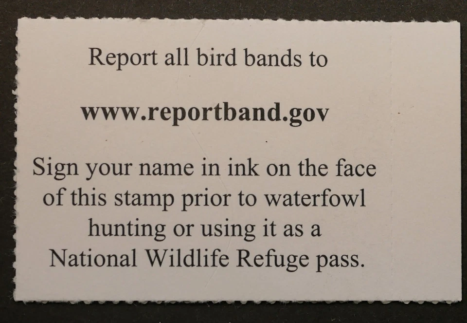 Estampillas federales de caza de patos RW92 MNH OG sello de caza de aves migratorias 2025 Foto 2 de 2