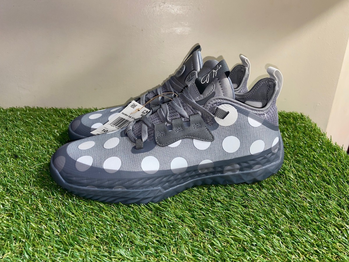 Adidas Harden Vol. 5 Futurenatural Grey Polka Dot Basketball  display picture 1