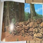Bild 14 von 24